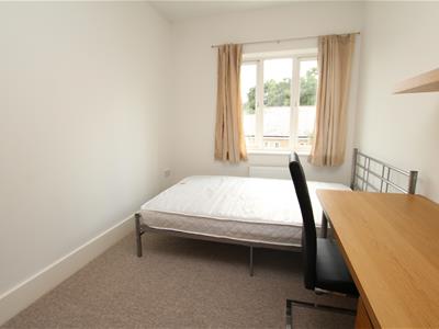 Picture 17